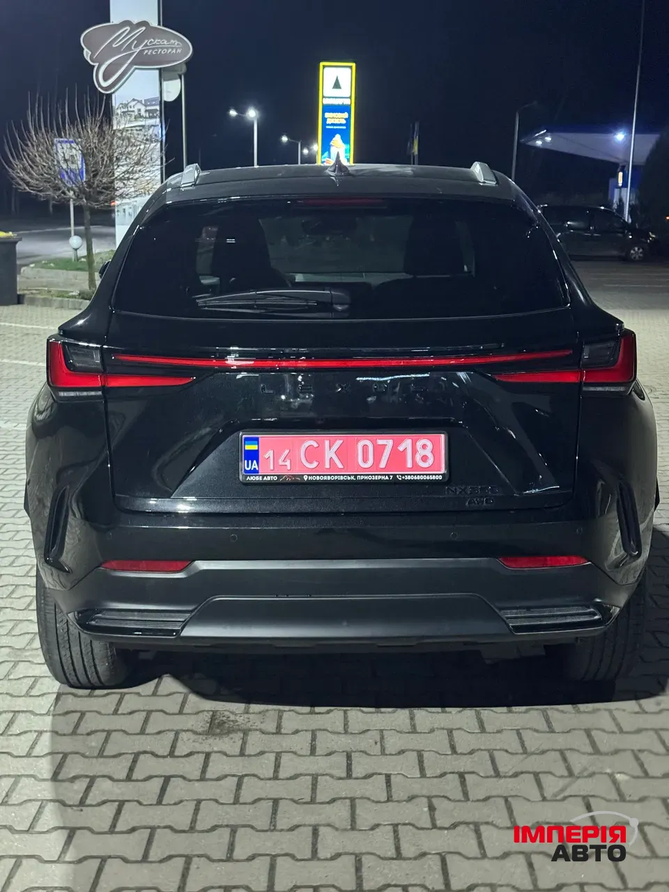 Lexus NX - фото 12