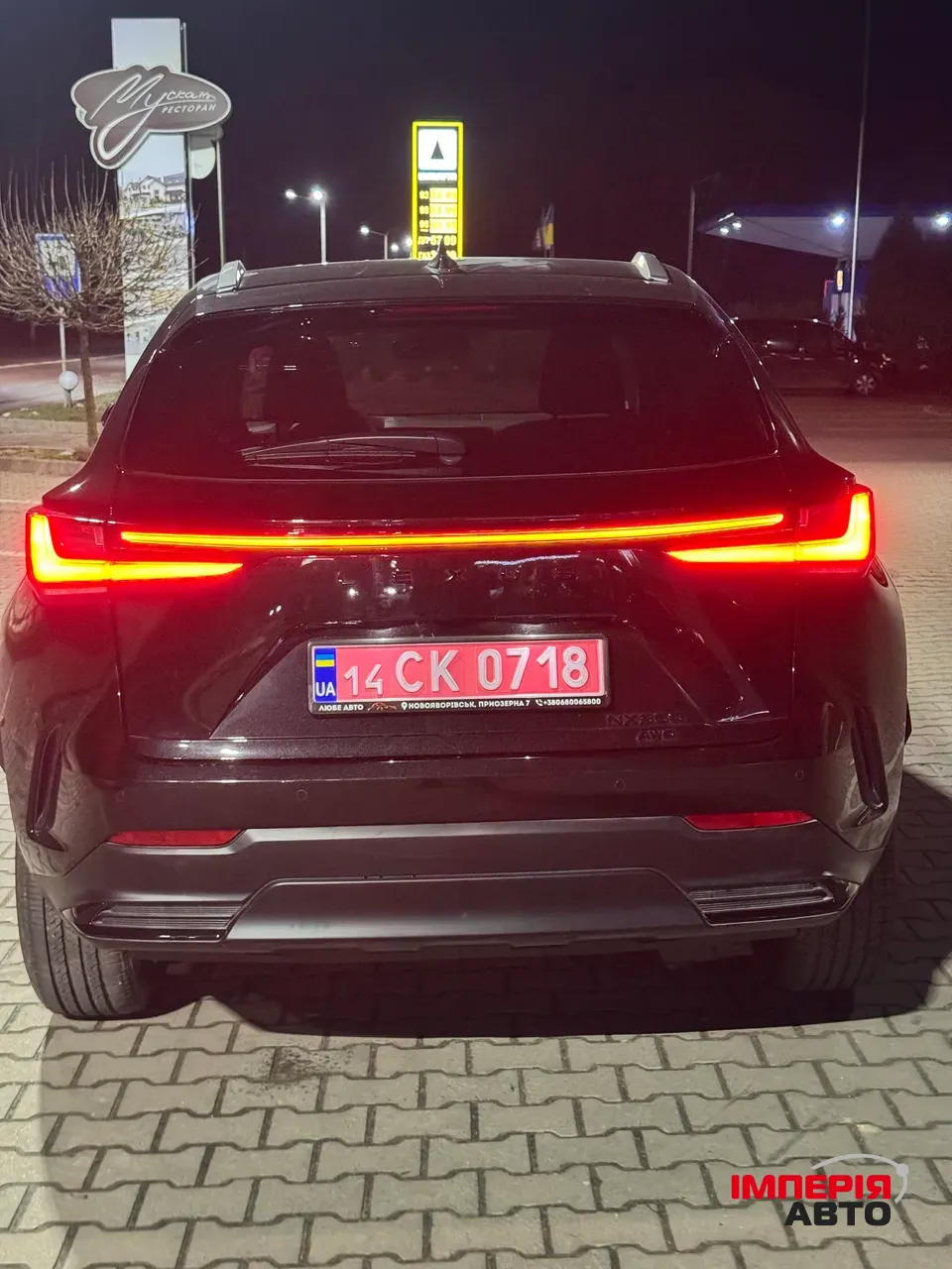 Lexus NX - фото 10