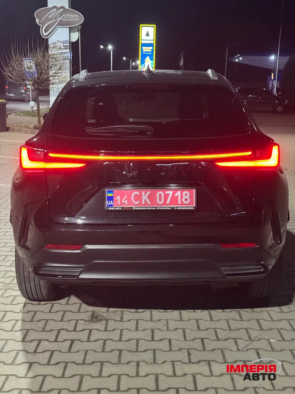 Lexus NX - фото 13