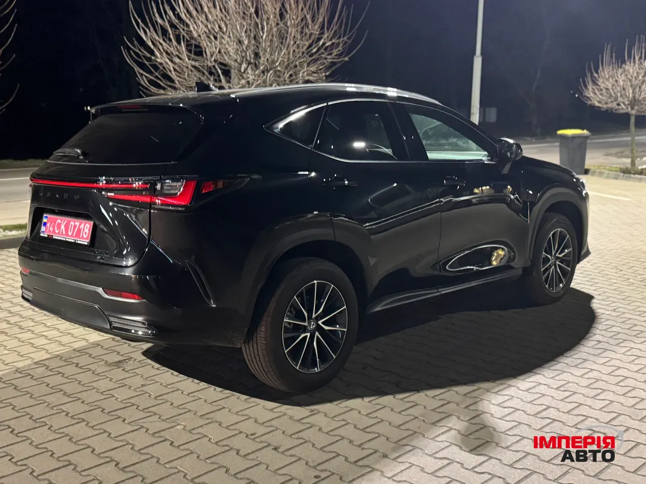 Lexus NX - фото 6