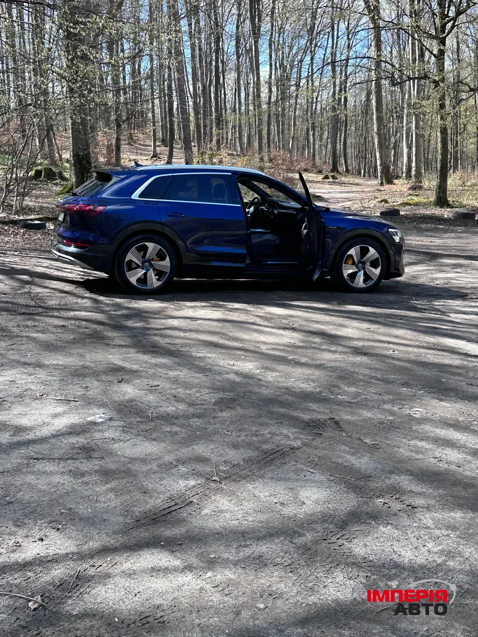 Audi e-tron - фото 5