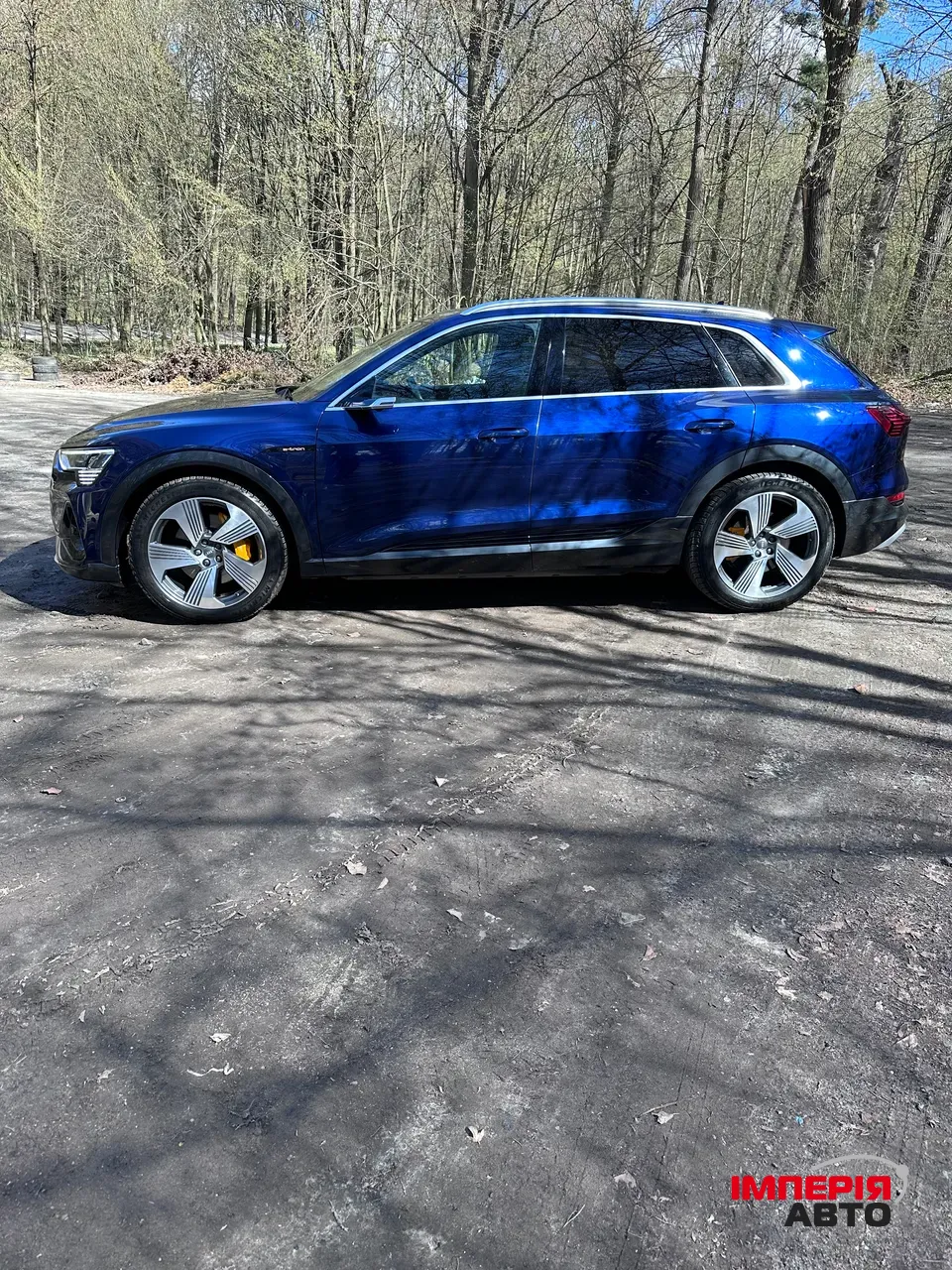 Audi e-tron - фото 1