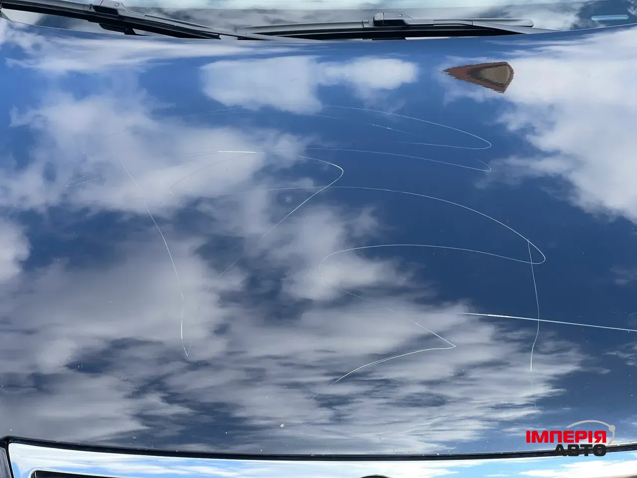 Volkswagen Passat - фото 12