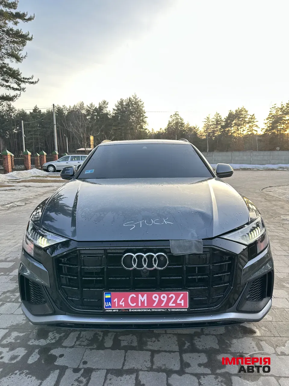Audi Q8 - фото 2