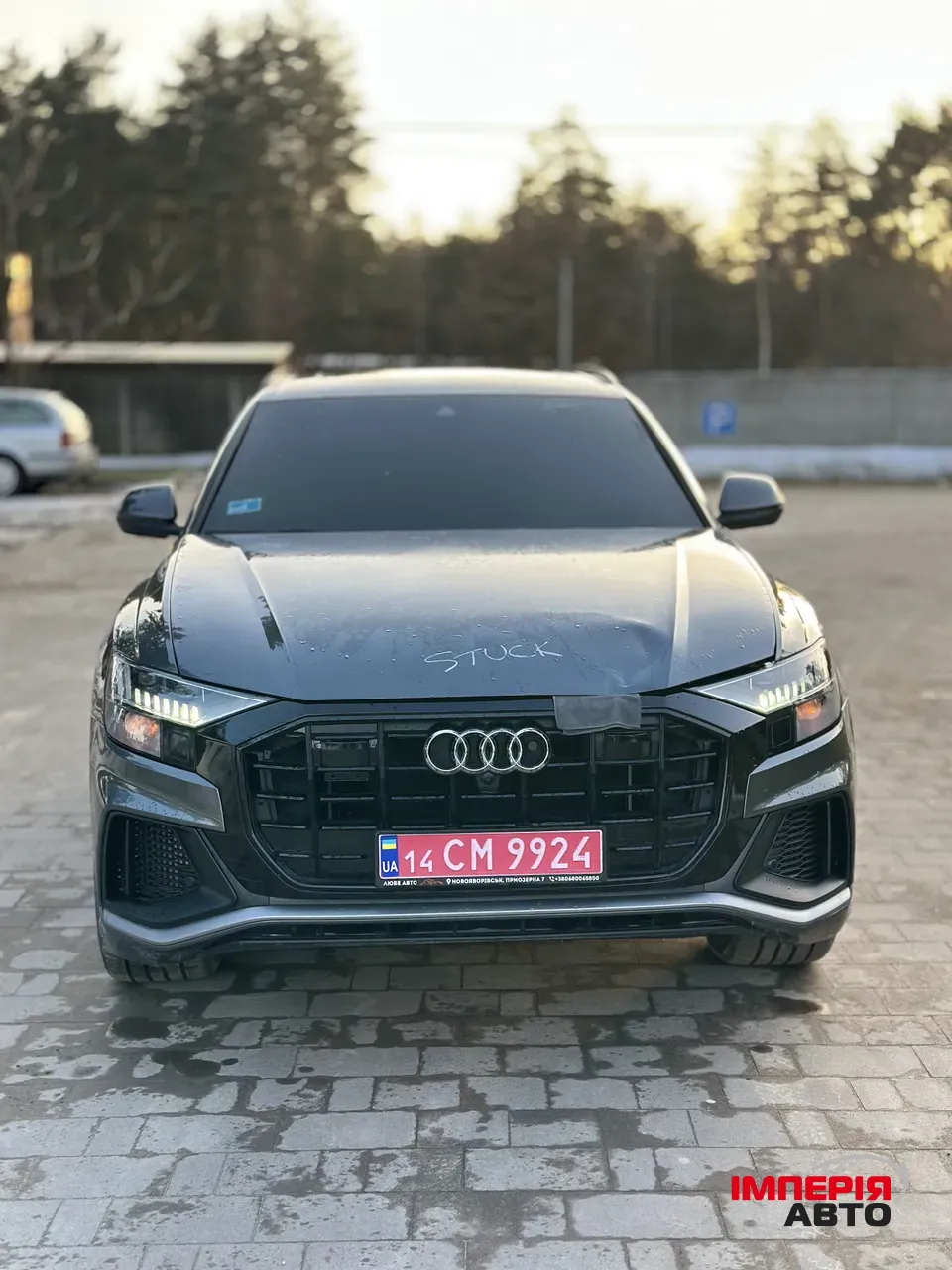 Audi Q8 - фото 5
