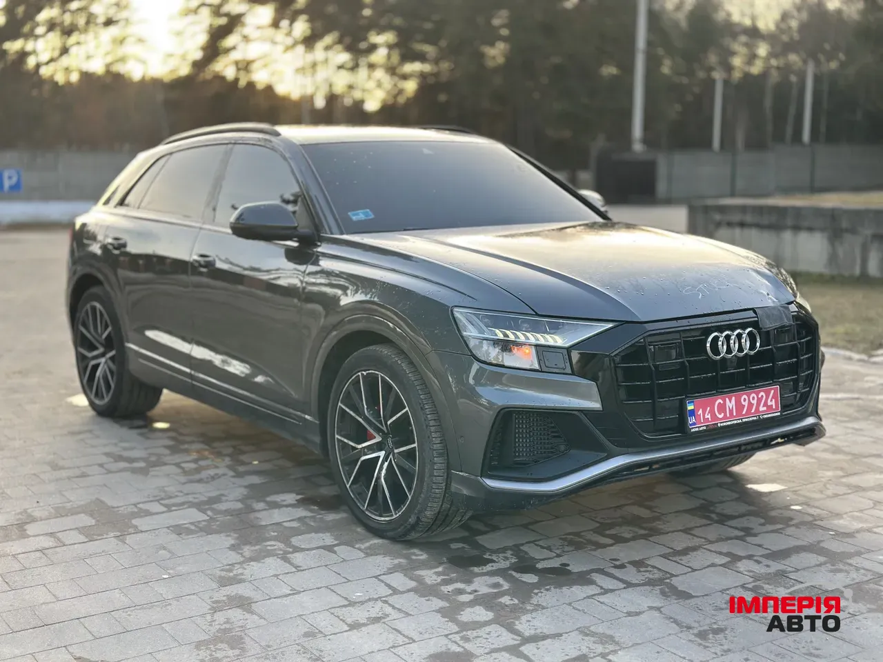 Audi Q8 - фото 4