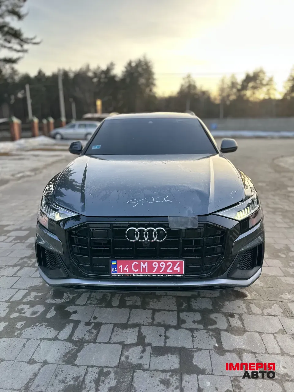 Audi Q8 - фото 6