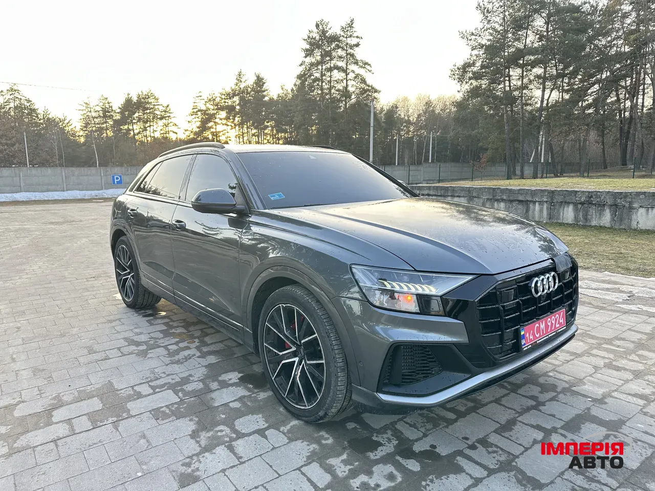 Audi Q8 - фото 3