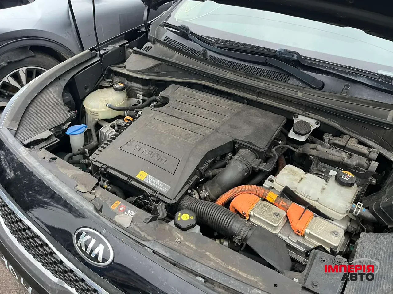 Kia Niro - фото 5