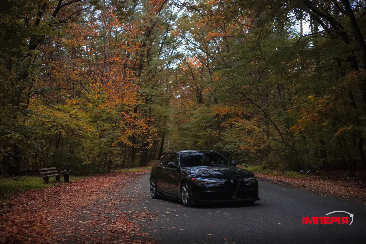 Alfa Romeo Giulia - фото 23