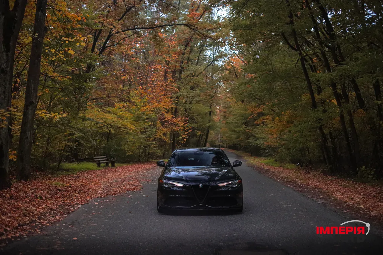 Alfa Romeo Giulia - фото 31