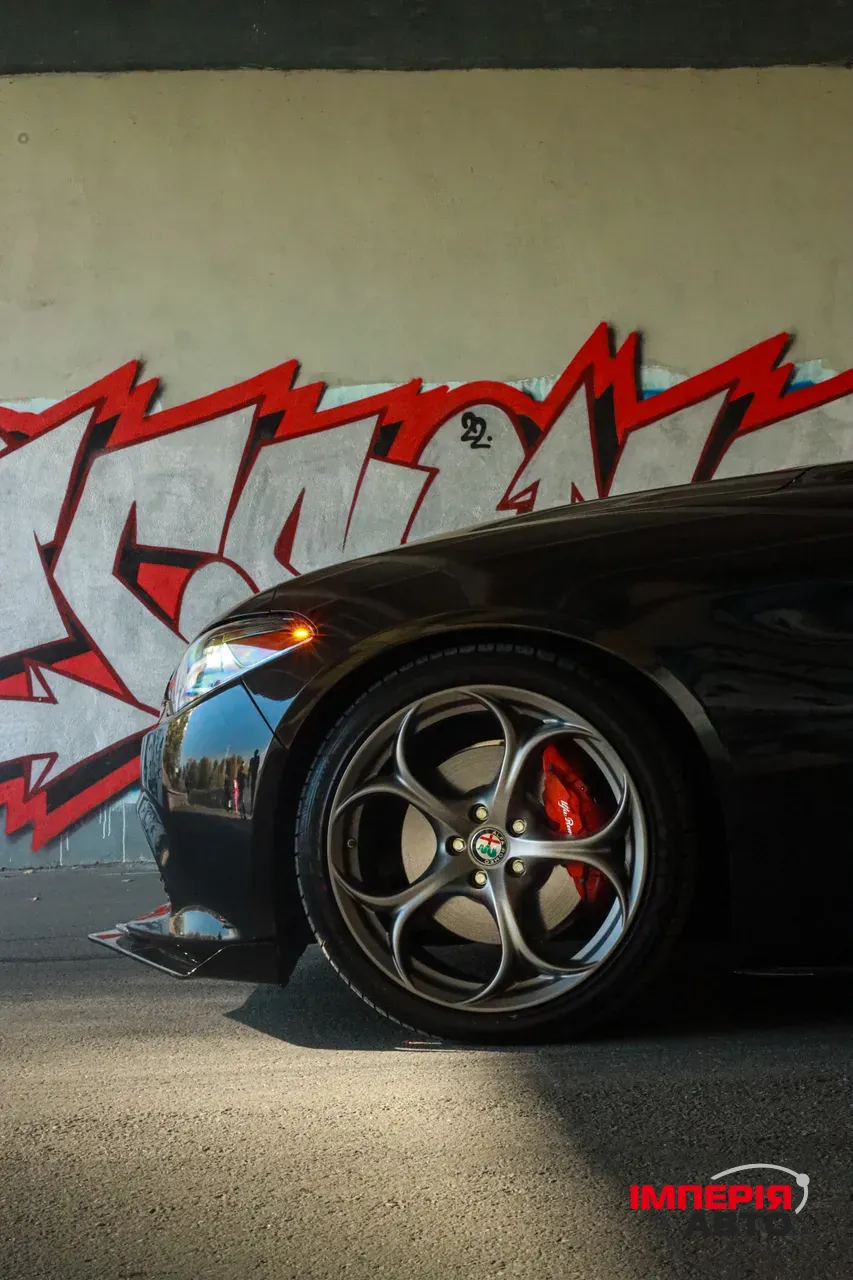 Alfa Romeo Giulia - фото 15