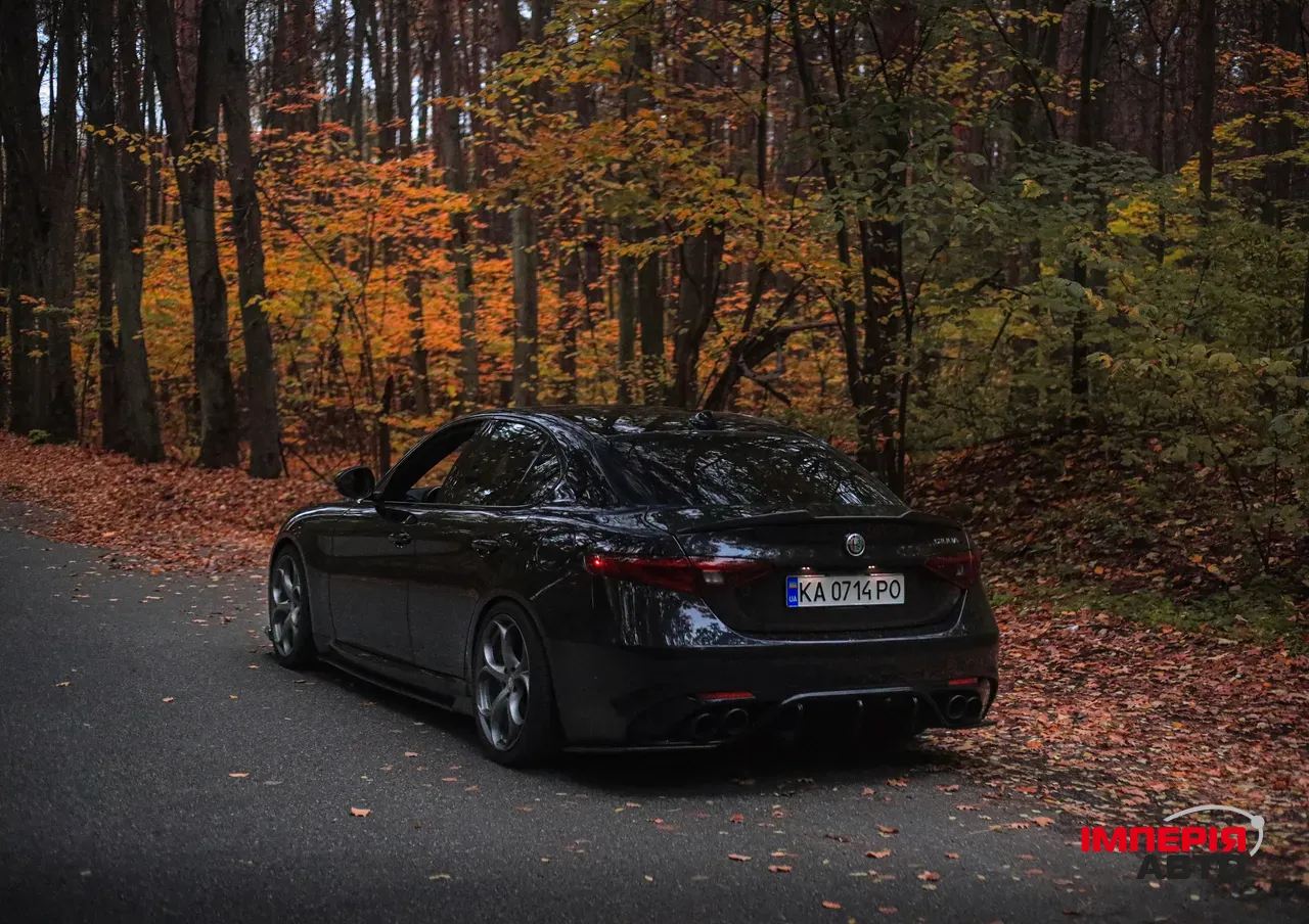 Alfa Romeo Giulia - фото 32