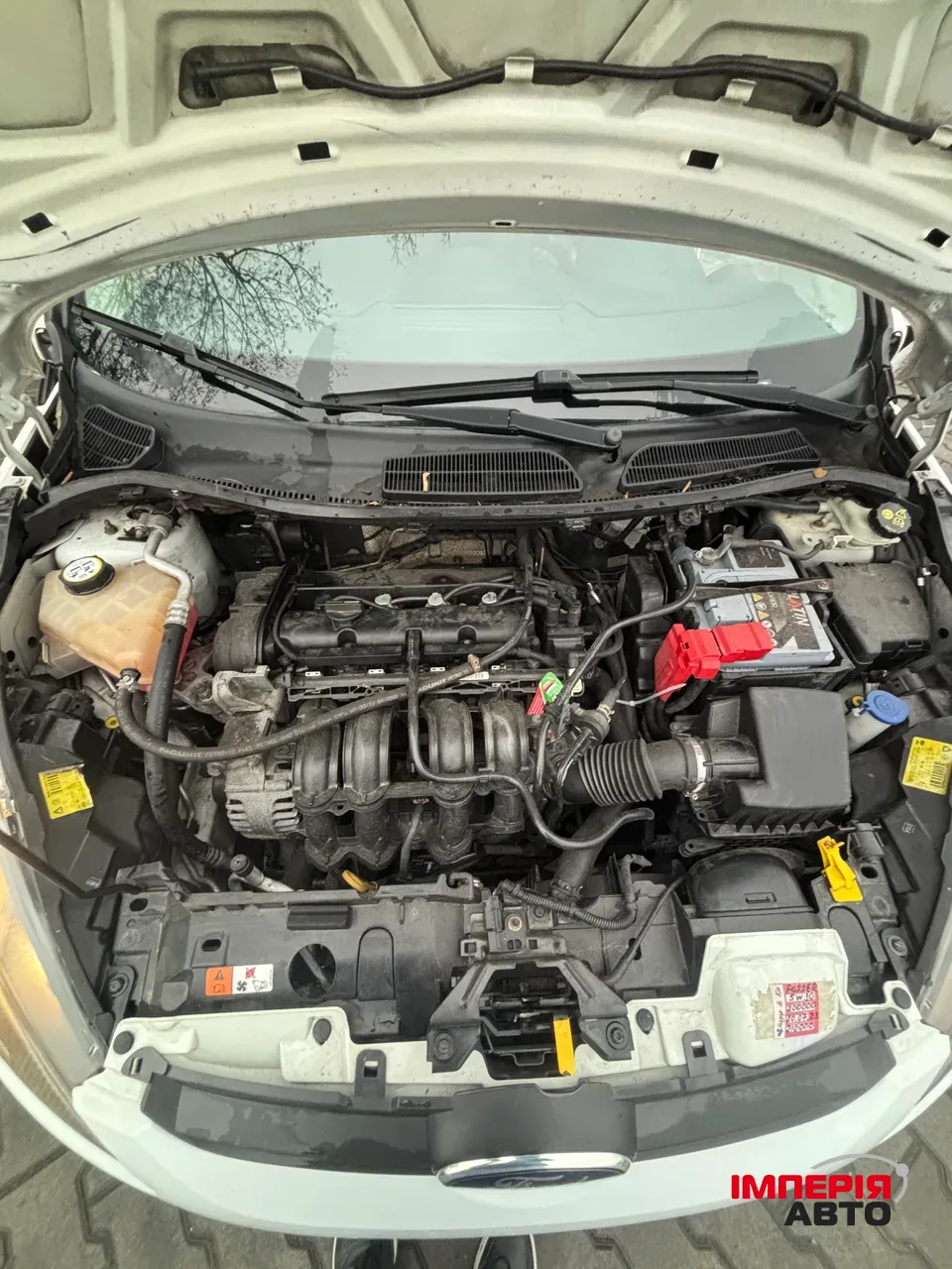 Ford Fiesta - фото 15