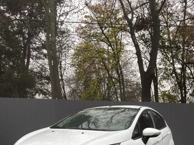 Ford Fiesta - фото 1