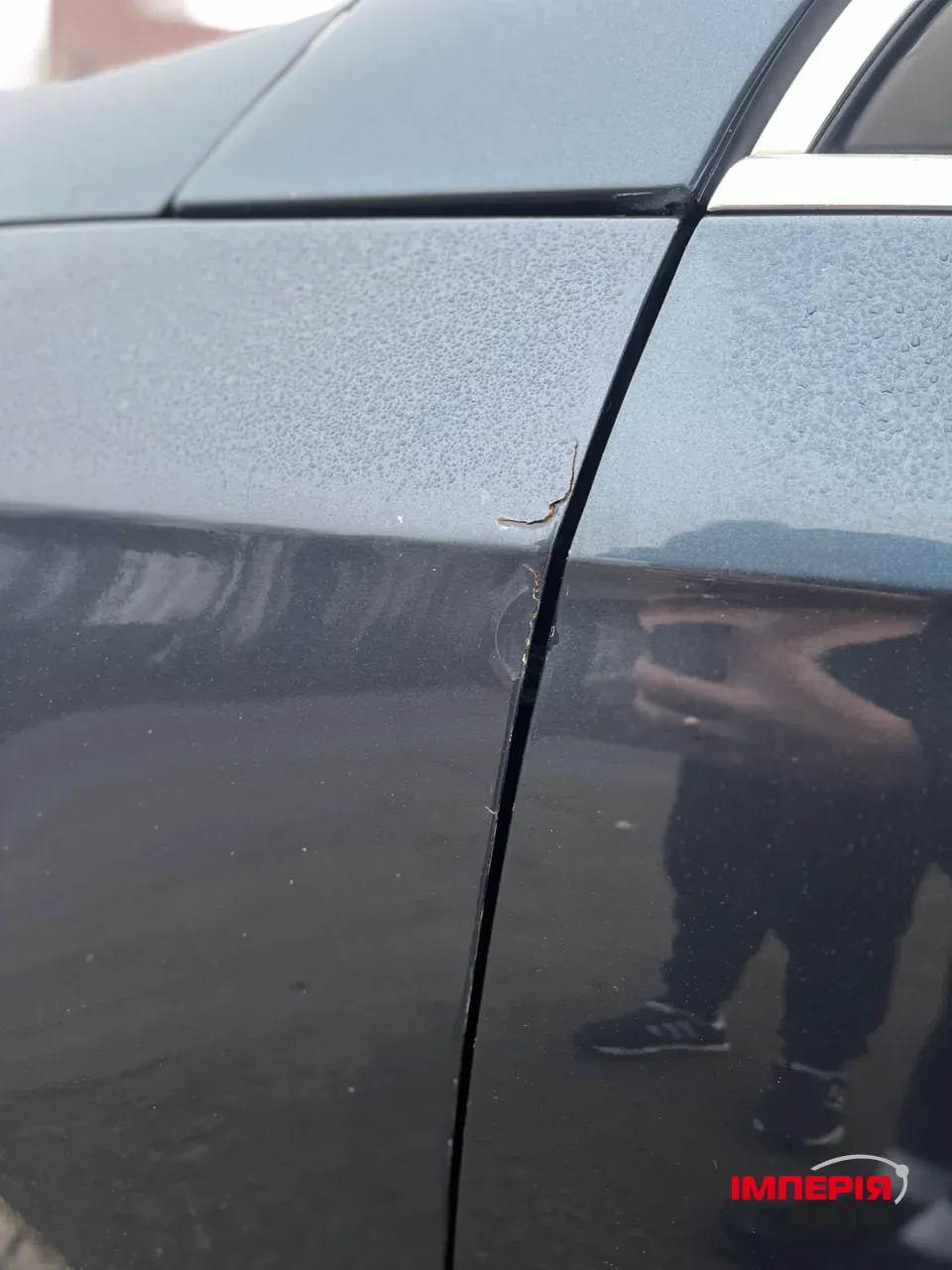 Volkswagen Passat - фото 12