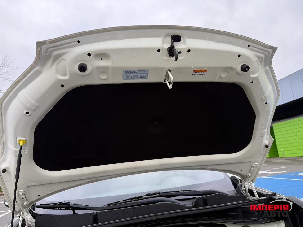 Kia Sportage - фото 33