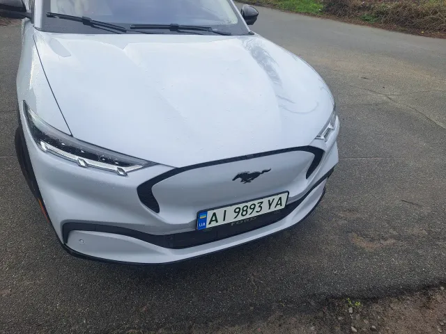 Ford Mustang Mach-E - фото 1