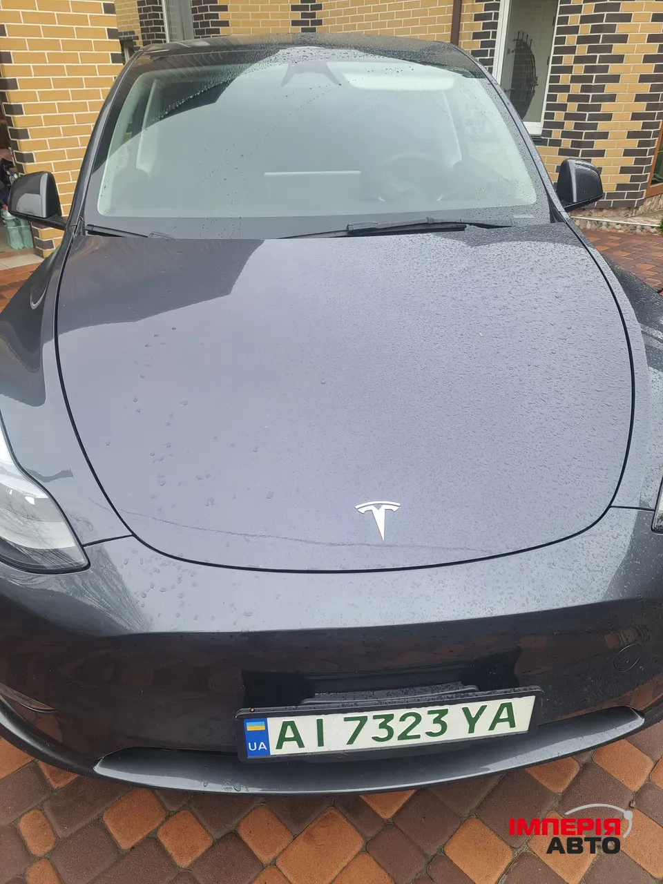 Tesla Model Y - фото 1