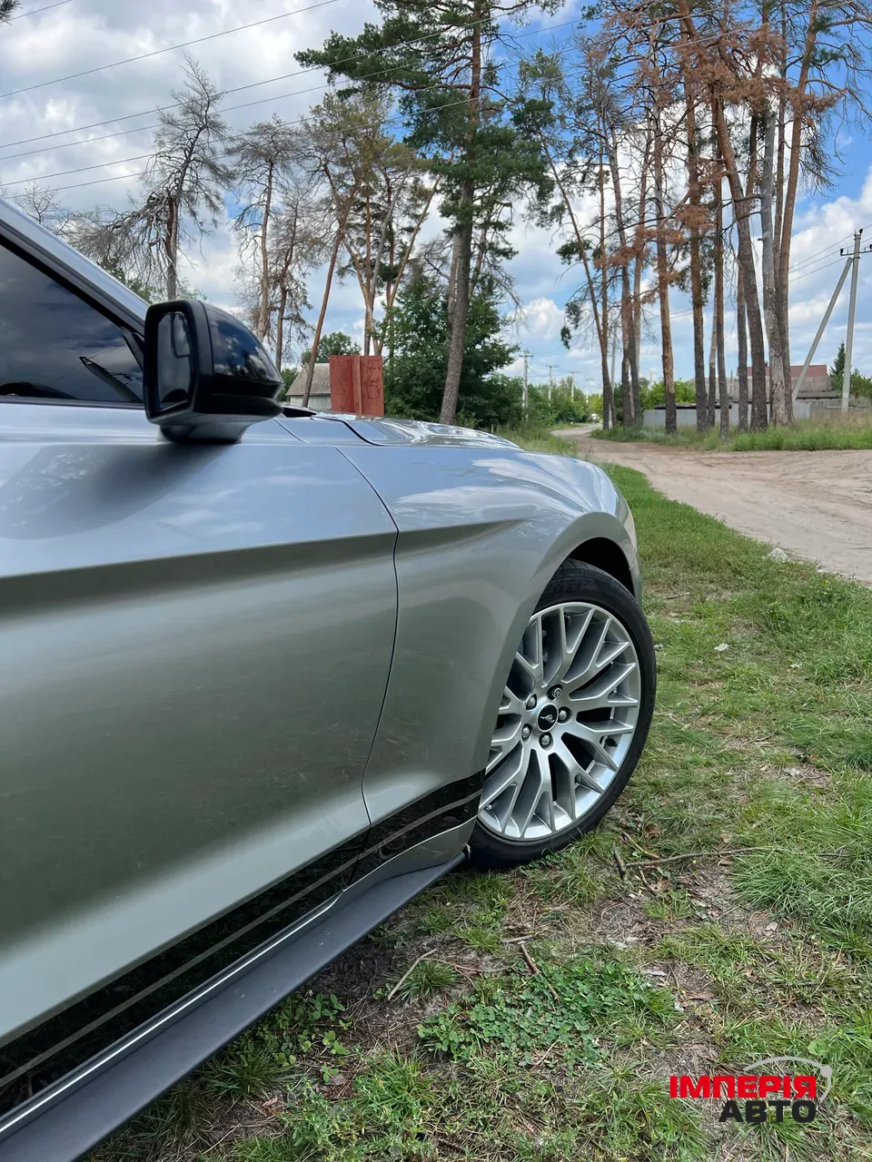 Ford Mustang - фото 12