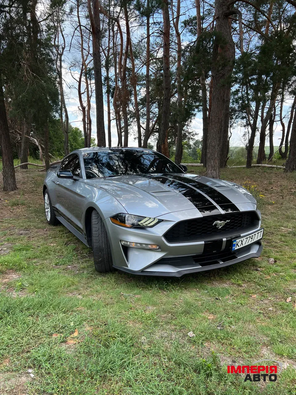 Ford Mustang - фото 1