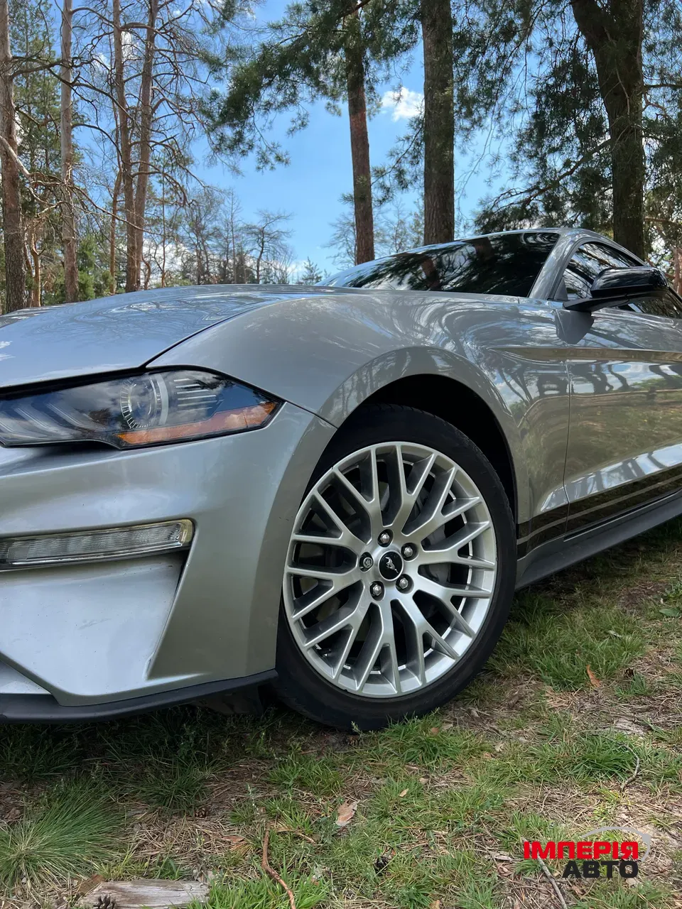 Ford Mustang - фото 6
