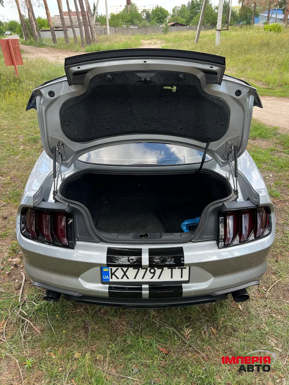 Ford Mustang - фото 20