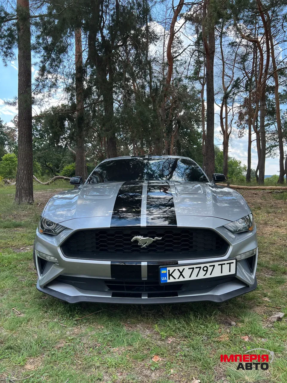 Ford Mustang - фото 5