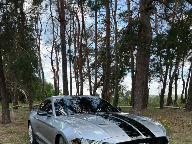 Ford Mustang - фото 1
