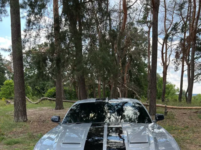 Ford Mustang - фото 4