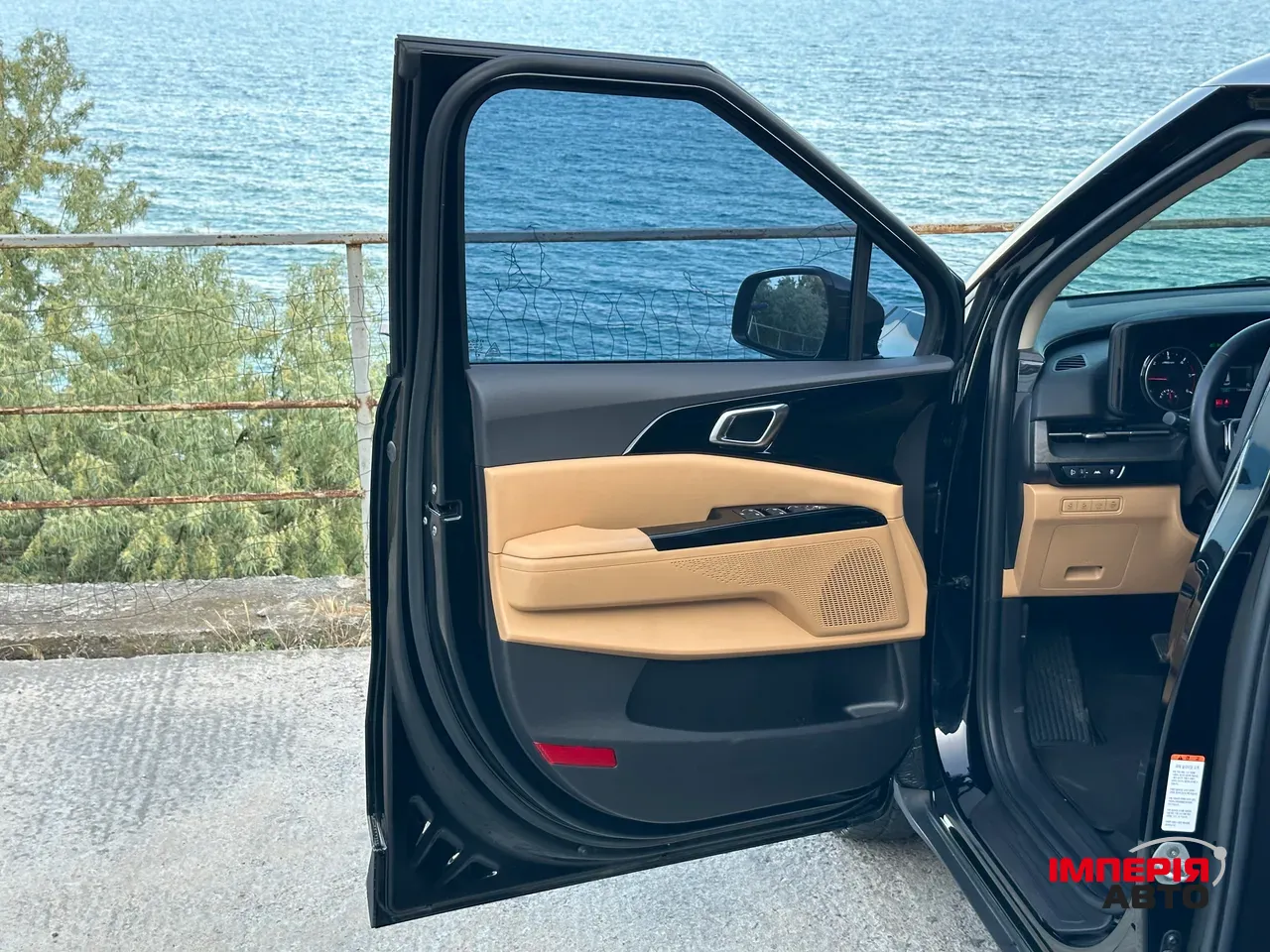 Kia Carnival - фото 22