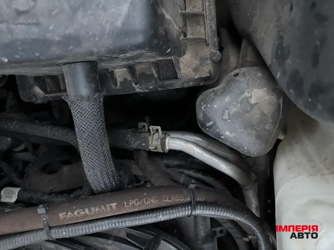 Dodge Journey - фото 50