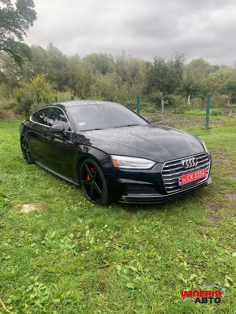 Audi A5 - фото 3