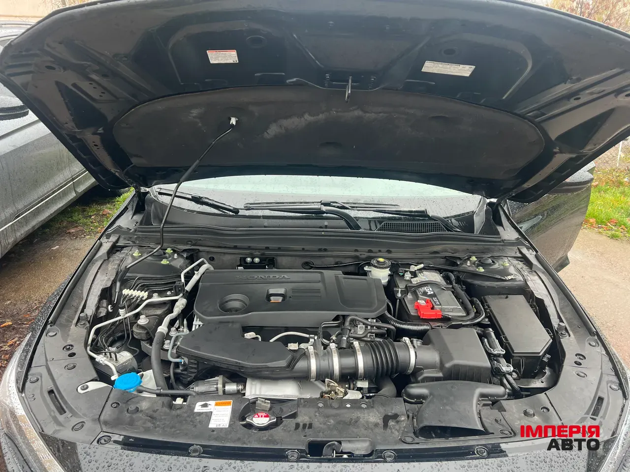 Honda Accord - фото 5