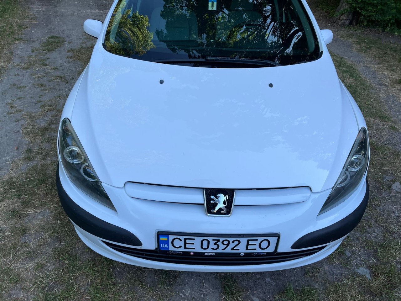 Peugeot 307 - фото 15