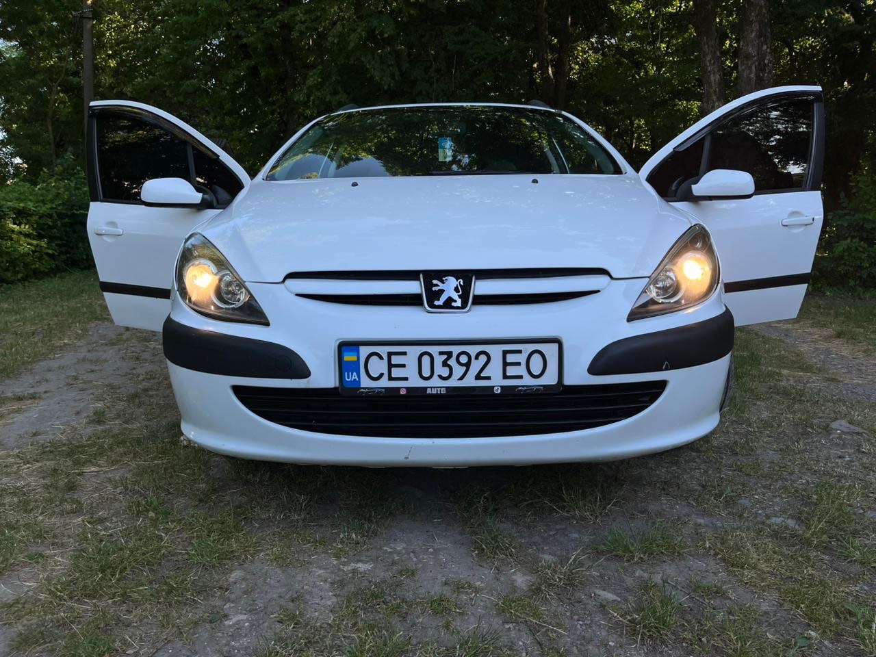 Peugeot 307 - фото 12