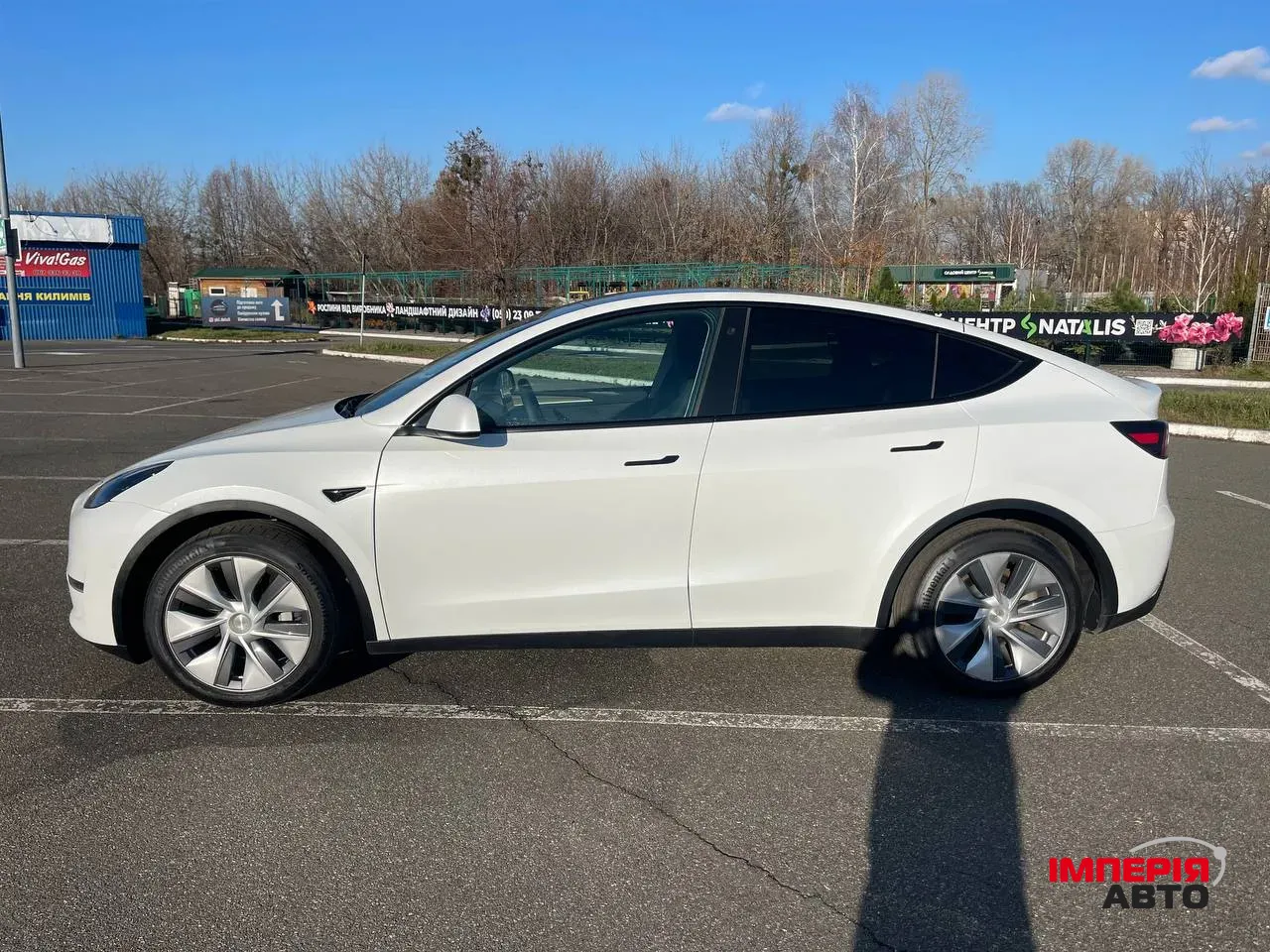 Tesla Model Y - фото 5