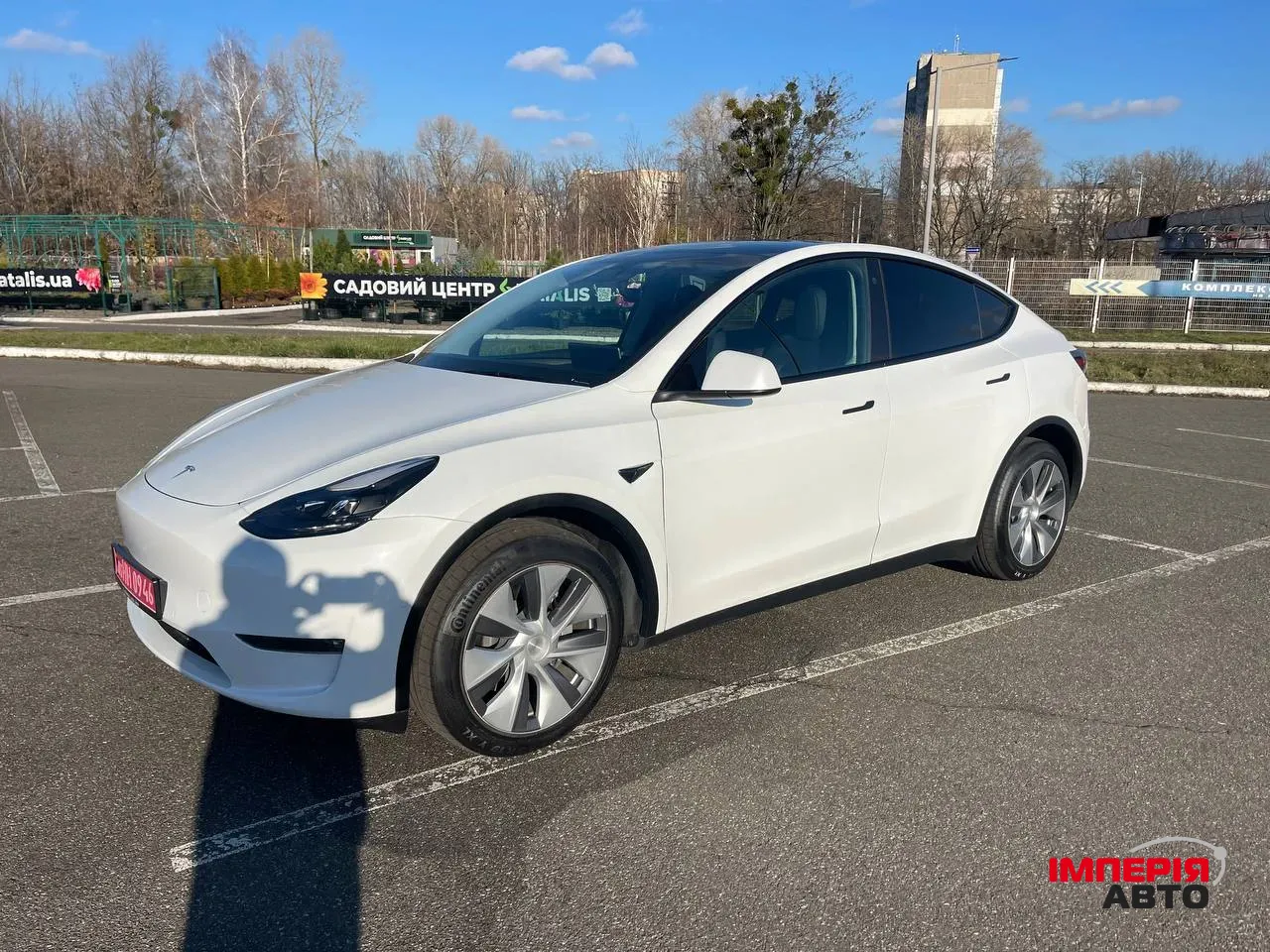 Tesla Model Y - фото 2