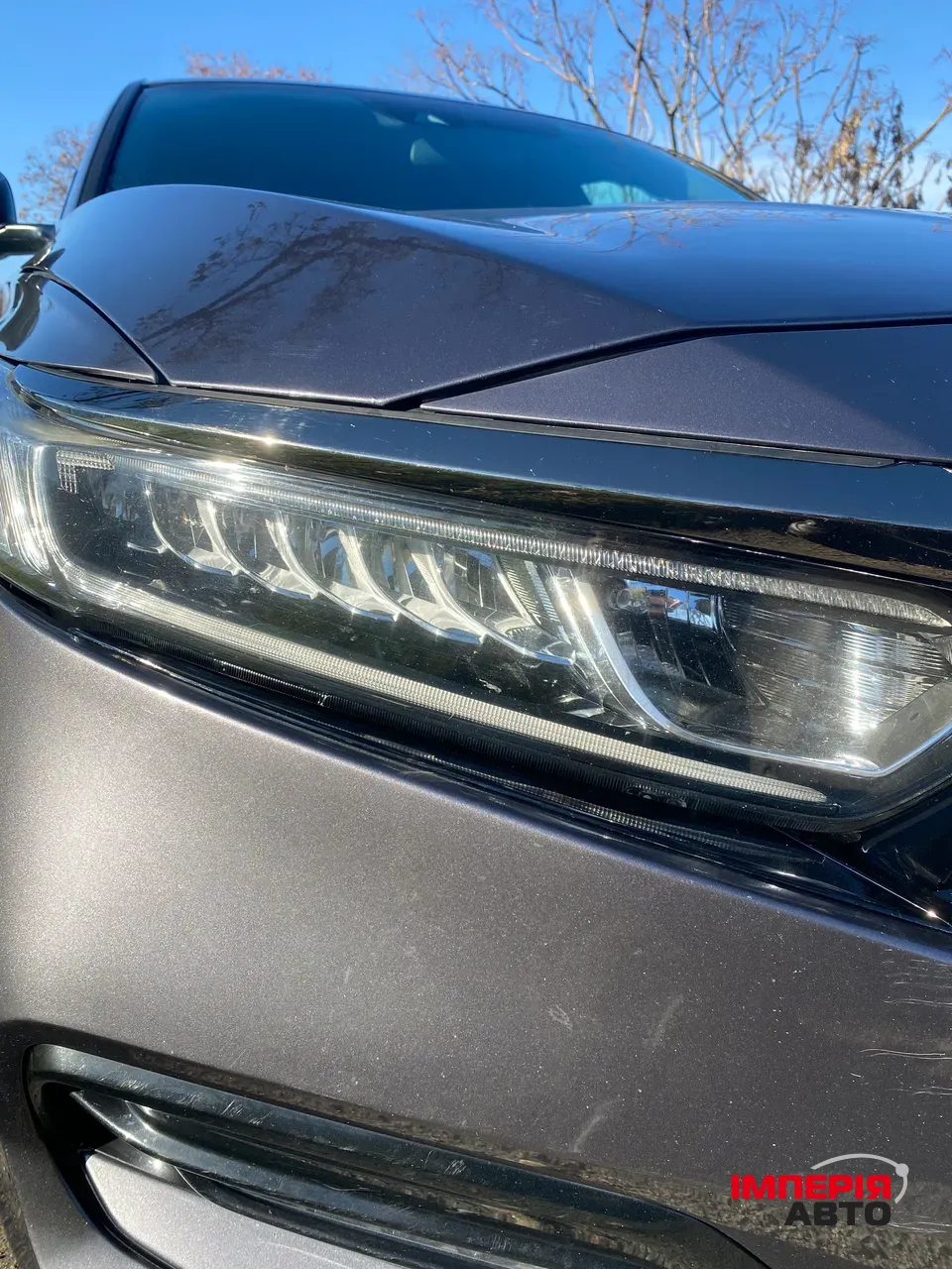 Honda Accord - фото 3