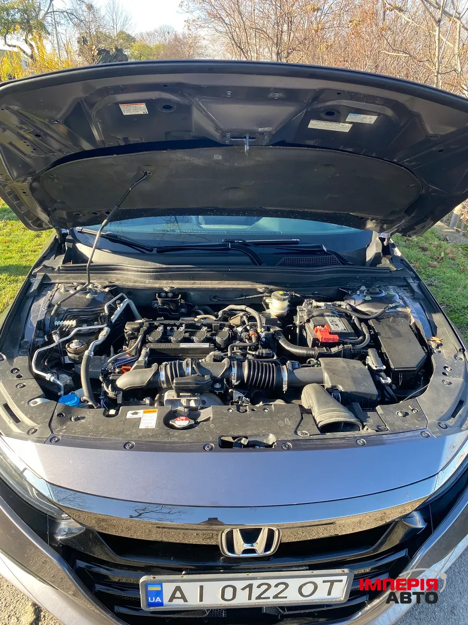 Honda Accord - фото 13