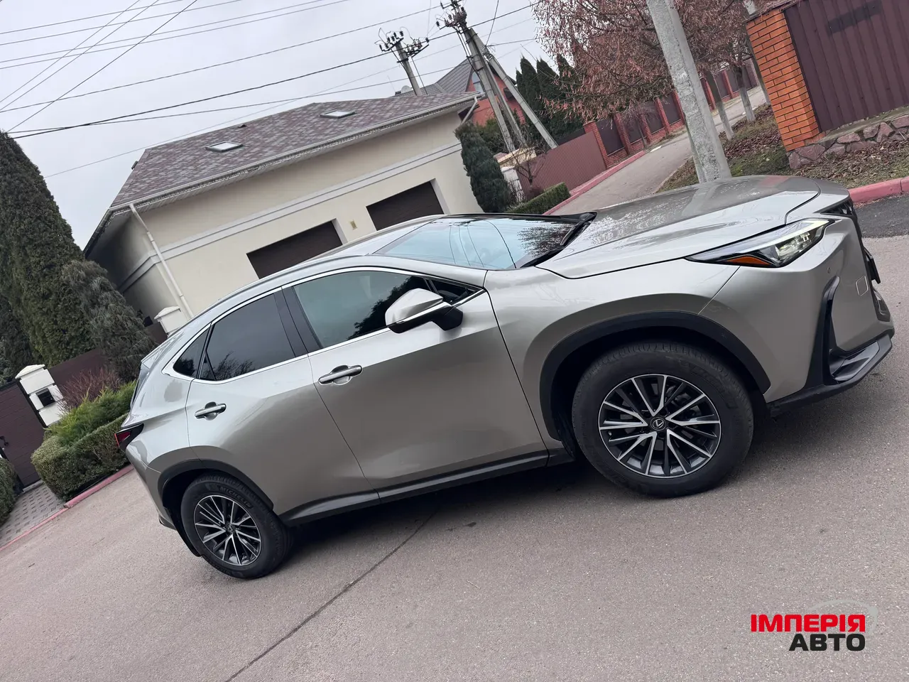Lexus NX - фото 4