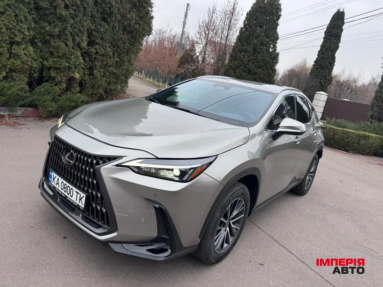 Lexus NX - фото 3