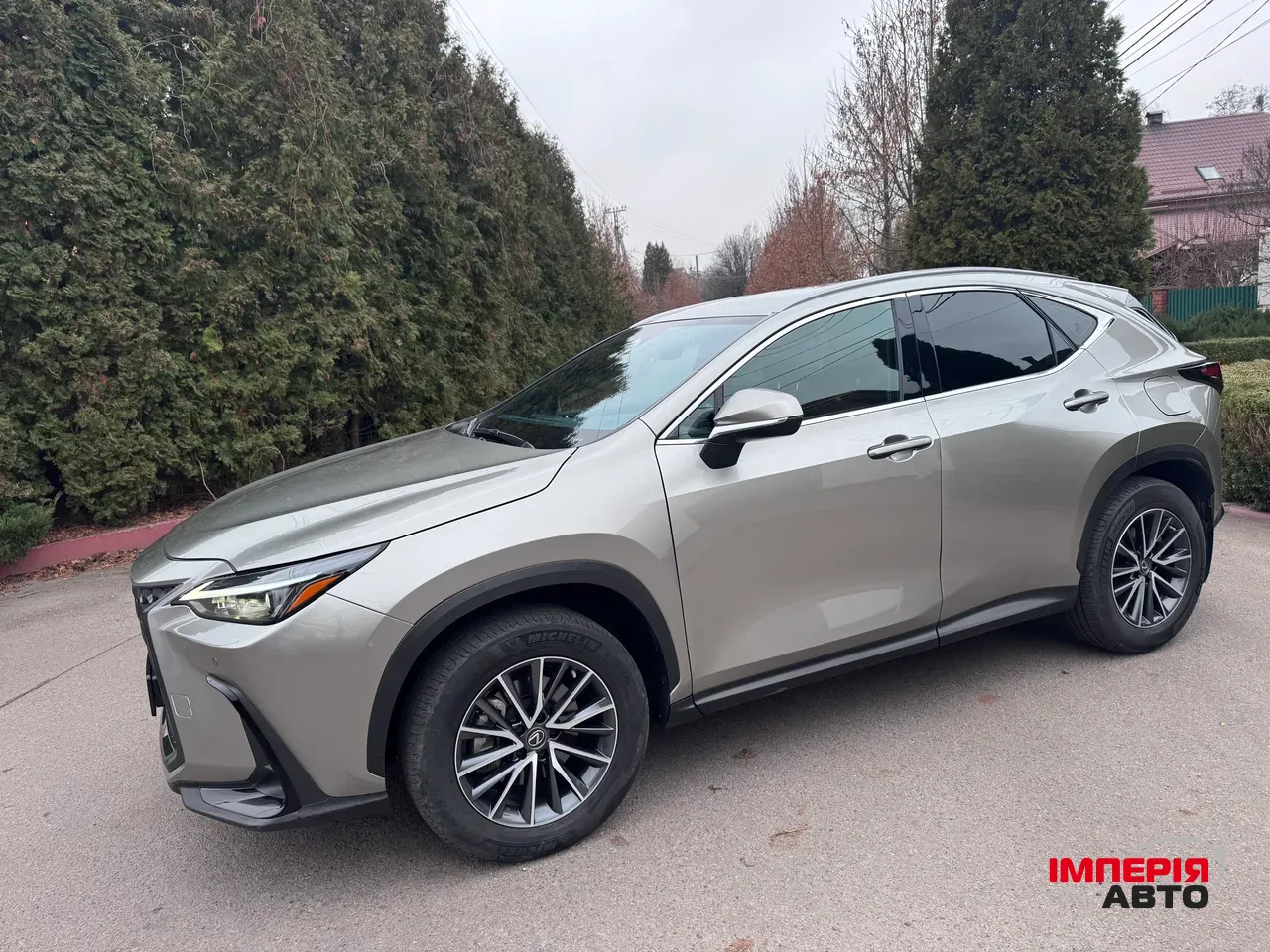 Lexus NX - фото 5