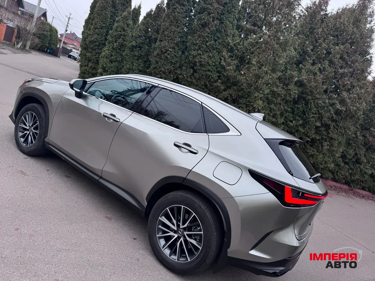 Lexus NX - фото 6
