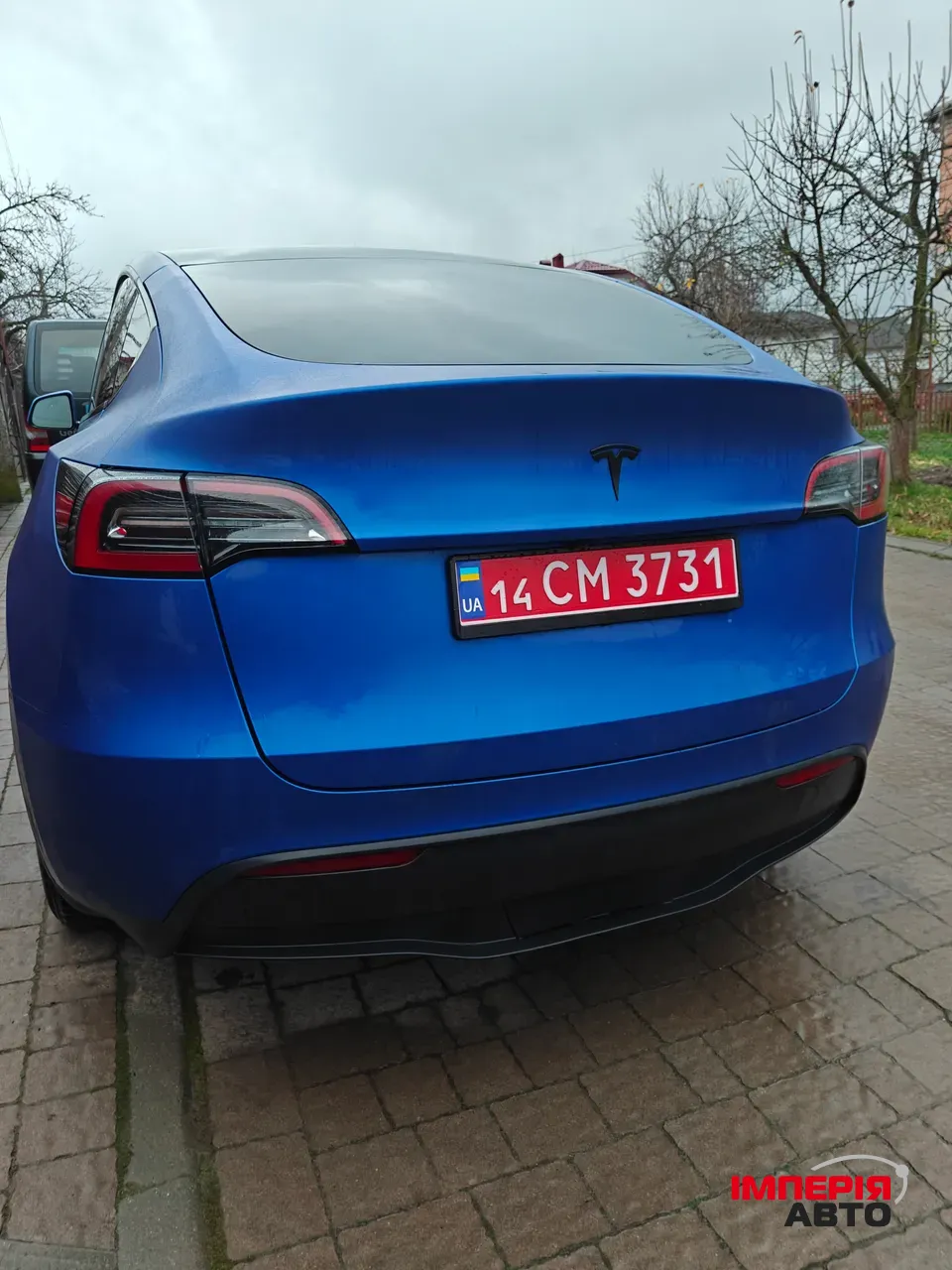 Tesla Model Y - фото 2