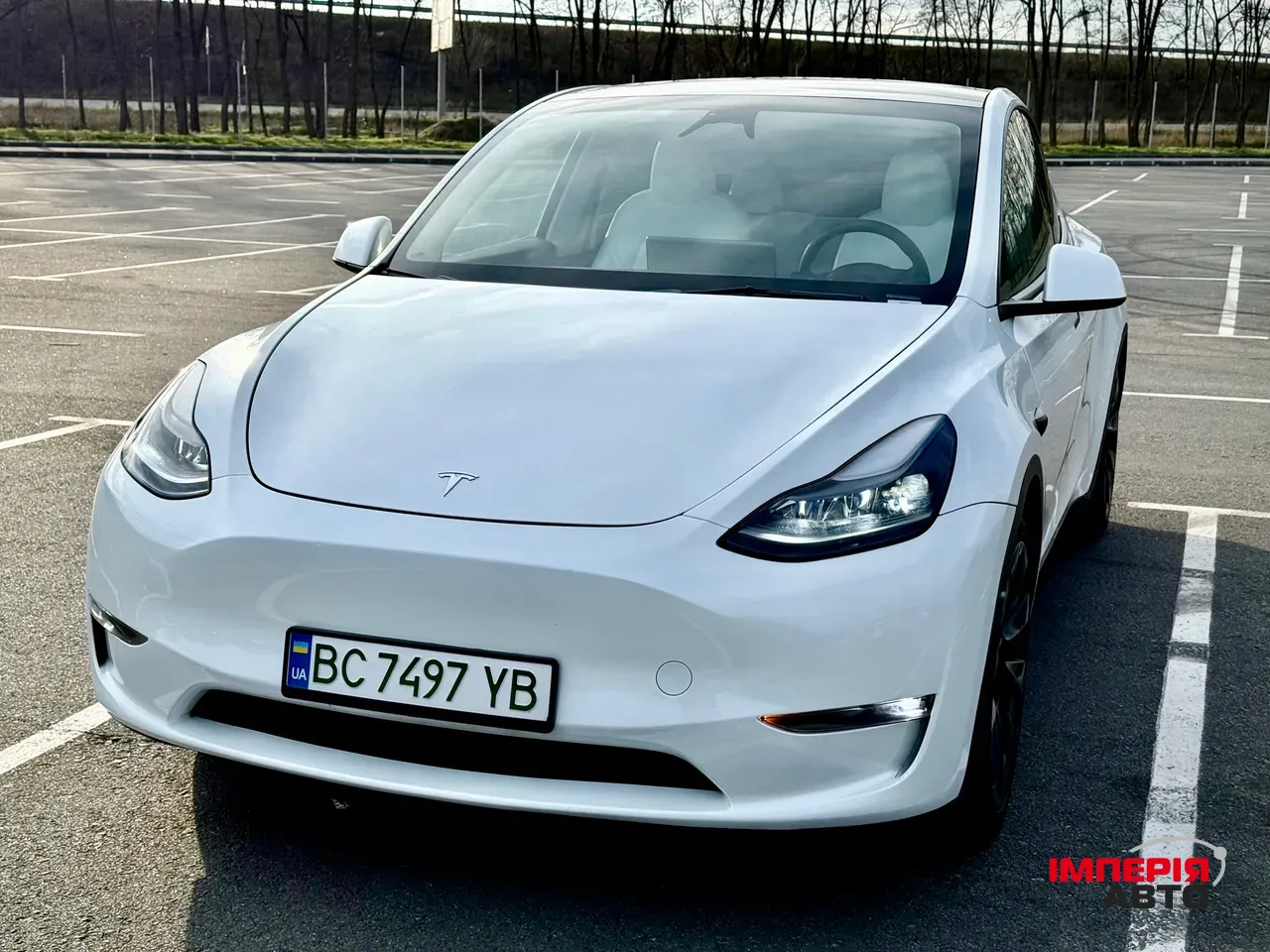 Tesla Model Y - фото 10