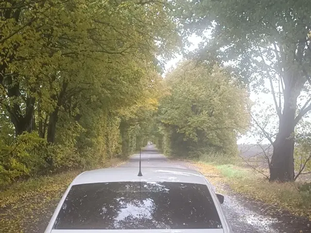 Skoda Rapid - фото 2