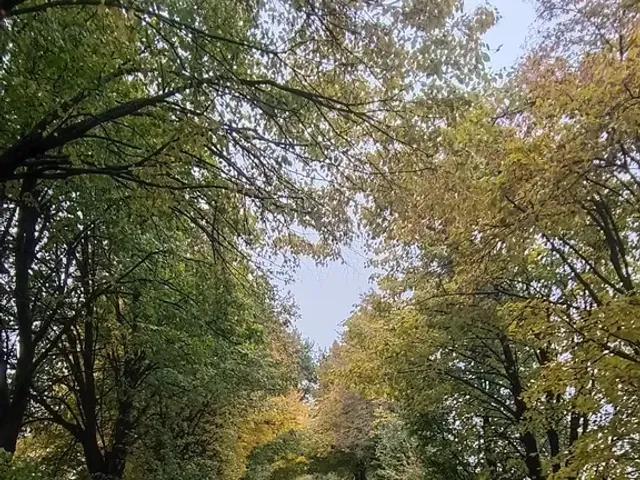 Skoda Rapid - фото 1