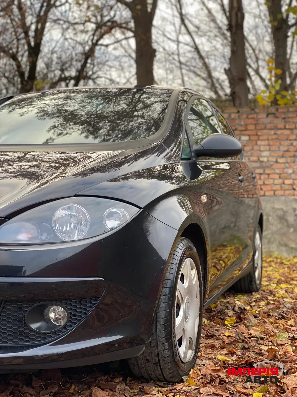 SEAT Altea - фото 10