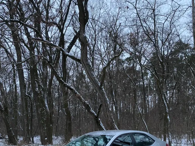 Toyota Corolla - фото 2